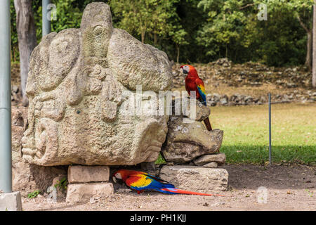 A typical view at Copan Ruins in Honduras. Stock Photo