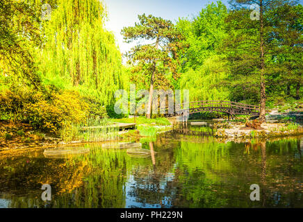 botanical garden of Wroclaw, Poland Stock Photo