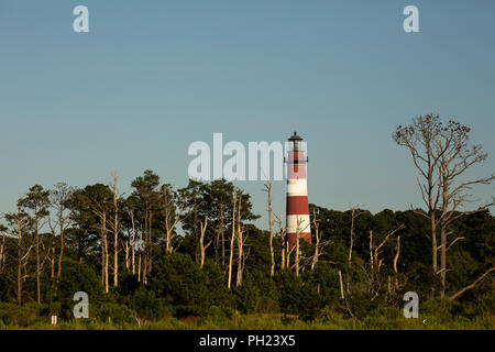 Assateague Lighthouse on Assateague Island in the Chincoteague National Wildlife Refuge on the Eastern Shore of Virginia. Stock Photo