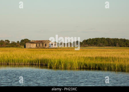Marsh Of Chincoteague Island Virginia Usa Stock Photo 62029822