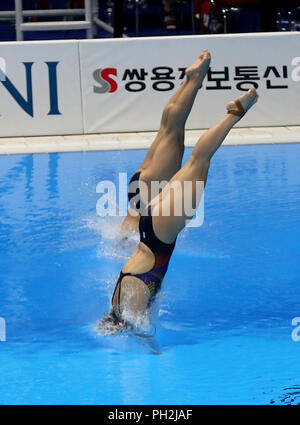 Diving Board Spring Style 3m diving board spring board Stock Photo - Alamy