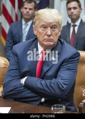 Washington, District of Columbia, USA. 29th Aug, 2018. United States President DONALD J. TRUMP answers a reporter's question after announcing a grant for drug-free communities support program in the Roosevelt Room of the White House in Washington, DC. Following his remarks the President took a few questions from the press Credit: Ron Sachs/CNP/ZUMA Wire/Alamy Live News Stock Photo