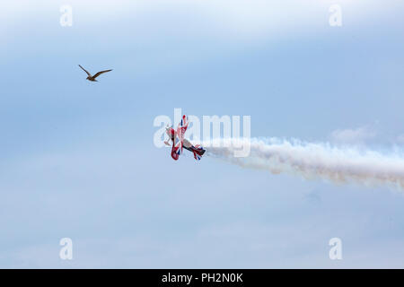 Bournemouth, UK. 30th August 2018. Up to a million people are set to descend on Bournemouth over the next four days as the 11th annual Bournemouth Air Festival gets underway. Perfect weather for flying. A first for Bournemouth Air Festival, pilot Rich Goodwin showcases the Muscle Biplane Pitts SaS G-EWIZ Super Pitts S2S (G-EWIZ) Muscle biplane combining aerial manoeuvres and high energy muscle biplane. Super Pitts Muscle Plane trying to get the seagull? Credit: Carolyn Jenkins/Alamy Live News Stock Photo