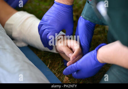 Paramedic taking the pulse of an injured person Stock Photo