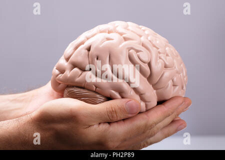 Close-up Of A Person's Hand Holding Human Brain Model Stock Photo