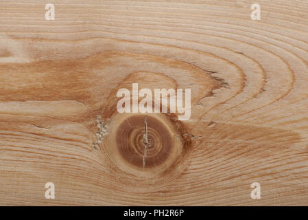 Abstract wooden surface macro view. Wood with branch theme Stock Photo