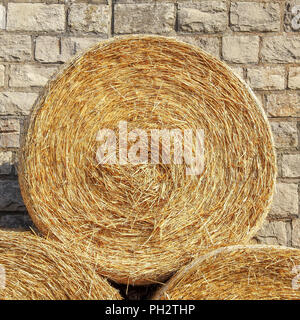 Golden hay bale detail Stock Photo