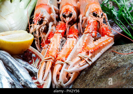 Fresh and raw lobster, turbot, anchovies, lemon and vegetables Stock Photo