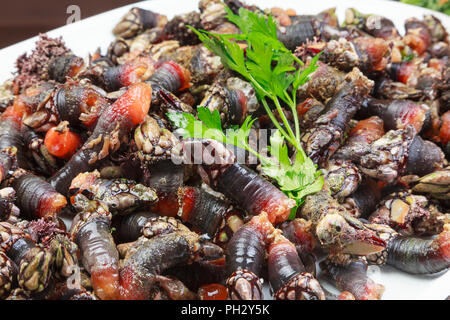 Fresh and raw barnacles with parsley on white plantain Stock Photo