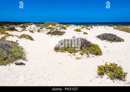 White sand beach in Caletón Blanco in Lanzarote, Canary Islands, Spain Stock Photo