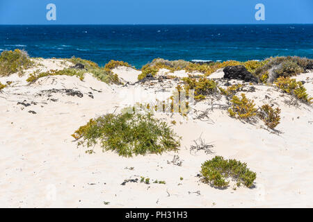 White sand beach in Caletón Blanco in Lanzarote, Canary Islands, Spain Stock Photo