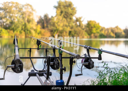 Carp fishing rods on a lake on a sunny day Stock Photo - Alamy