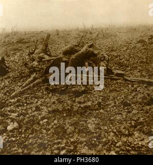 Dead soldier on Hill 304, after the Battle of Verdun, northern France, 1916. Artist: Unknown. Stock Photo