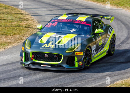 Mission Motorsport launch the Invictus Games Racing Team Jaguar F-Type at  the Autosport International Racing Car Show at NEC Stock Photo - Alamy
