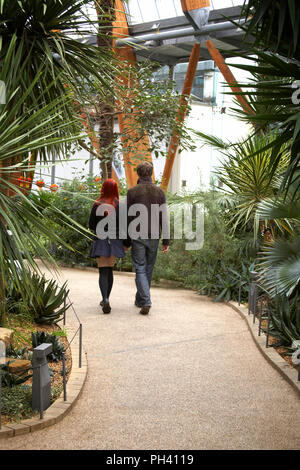 Red haired young woman and a guy photographed from behind in Sheffield, England Stock Photo