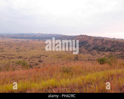 Queen Elizabeth National Park, Uganda, August 2018 Stock Photo