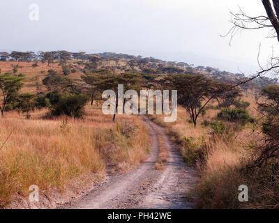 Queen Elizabeth National Park, Uganda, August 2018 Stock Photo