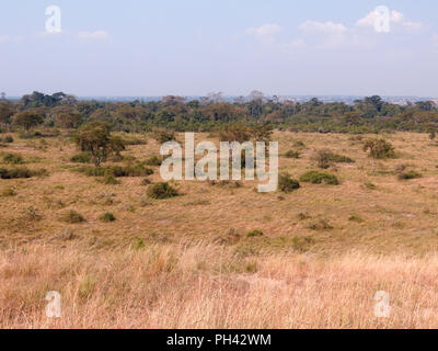 Queen Elizabeth National Park, Uganda, August 2018 Stock Photo