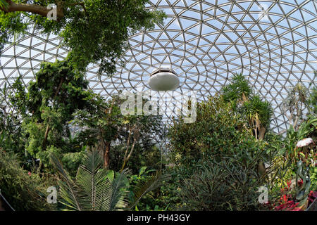 Tropical plants and Triodetic dome of the Bloedel Conservatory in Queen Elizabeth Park, Vancouver, BC, Canada Stock Photo