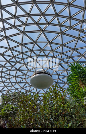 Tropical plants and Triodetic dome of the Bloedel Conservatory in Queen Elizabeth Park, Vancouver, BC, Canada Stock Photo