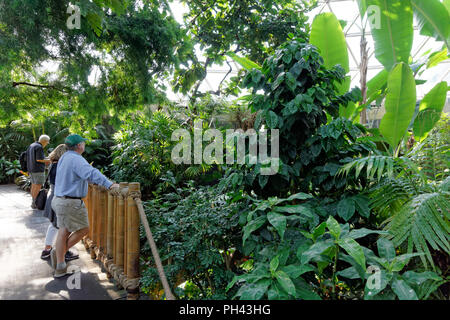 Tourists inside the Bloedel Conservatory in Queen Elizabeth Park, Vancouver, BC, Canada Stock Photo