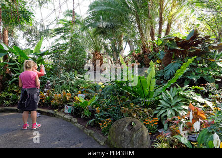 Female tourist taking a photograph inside the Bloedel Conservatory in Queen Elizabeth Park, Vancouver, BC, Canada Stock Photo