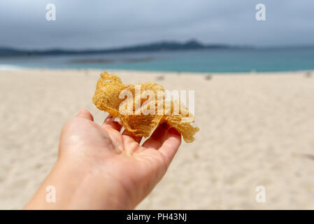 Sea sponge in fat white female hand with beach in the background, peace and quiet