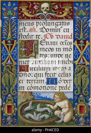 Sforza Hours - 'Text page from Office of the Dead with decorated border showing a putto playing with ermines' . Stock Photo