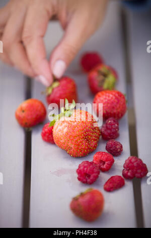 Woman's hand taking fresh organic strawberries and raspberries. Berries on the grey background. Garden harvest on the table. Snack time. Natural and h Stock Photo