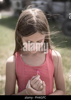 Portrait of a little girl with a pink flower Stock Photo