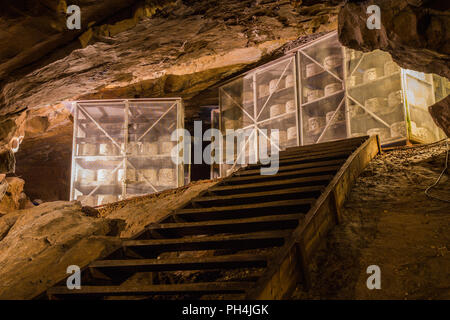 Wheels of cheddar cheese maturing or ageing inside a cave Stock Photo