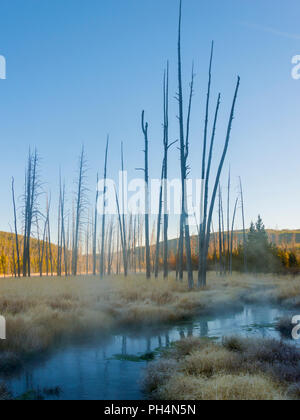 Obsidian Creek, Yellowstone National Park, USA Stock Photo