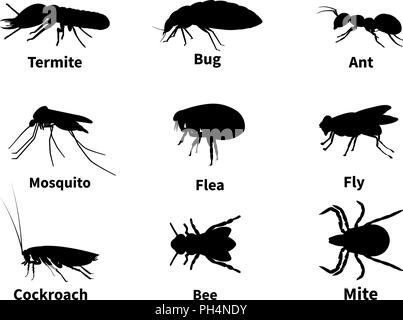 Vector illustration silhouettes of insects Stock Vector