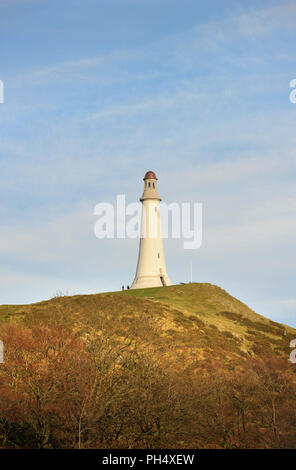 Hoad Monument on Hoad Hill Ulverston Cumbria Stock Photo - Alamy