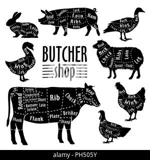 Cut of animals meat, diagram for butcher. Meat cut set Stock Vector