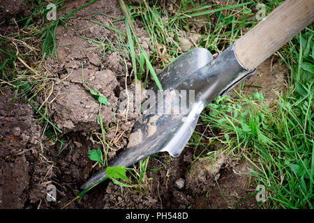 Soil with shovel in garden Stock Photo