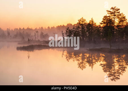 Daybreak light over the lake at the forest Stock Photo