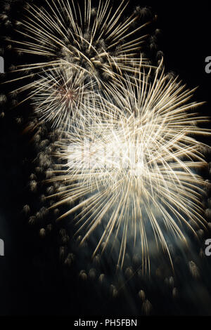 firework in the night sky, firework display for celebration by night Stock Photo