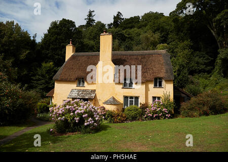 Traditional Thatched Cottage, Selworthy, Somerset Stock Photo