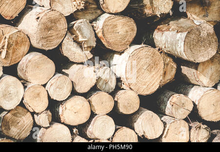 the masonry of round logs, sawn and folded in a pile, lit by the sun, on the street, thin and thick, Stock Photo