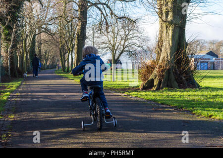 Child cycling a bicycle with stabilisers on tree-lined path through a park. Dog walker in distance. Wallace Park, Lisburn. Stock Photo