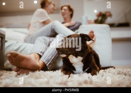 Close up of a dog sitting on carpet at home with a happy couple in the background. Smiling couple sitting together on a couch with their pet dog sitti Stock Photo