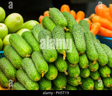 fresh homemade cucumbers on a stacked Stock Photo