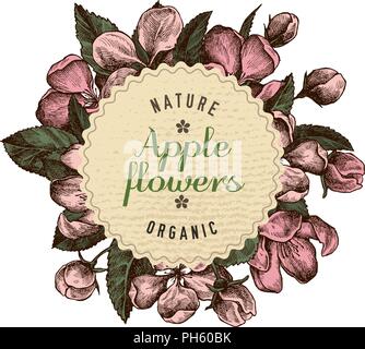 Round paper emblem over hand drawn apple flowers Stock Vector