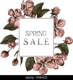 Spring sale badge over hand drawn apple flowers Stock Vector