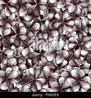 Vector seamless pattern with compositions of hand drawn oxalis Stock Vector