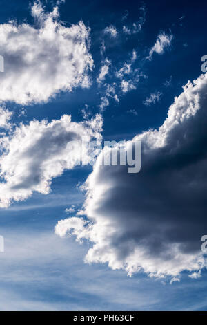 Puffy white cumulus clouds against a clear blue central Colorado sky; USA Stock Photo