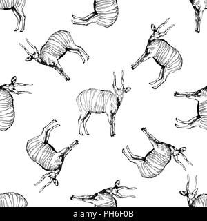 Seamless pattern of hand drawn sketch style bongo antelopes isolated on white background. Vector illustration. Stock Vector