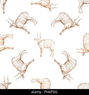 Seamless pattern of hand drawn sketch style bongo antelopes isolated on white background. Vector illustration. Stock Vector