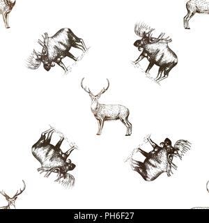 Seamless pattern of hand drawn sketch style moose and deer isolated on white background. Vector illustration. Stock Vector